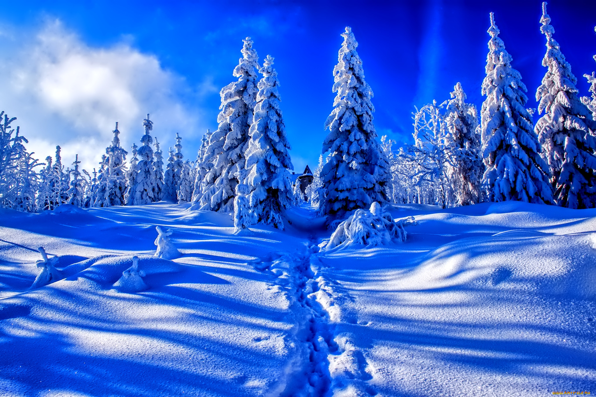 Картинки зима красивые. Сказочный зимний лес. Сказочно красивый зимний лес. Волшебный зимний лес. Сказочный лес зимой.